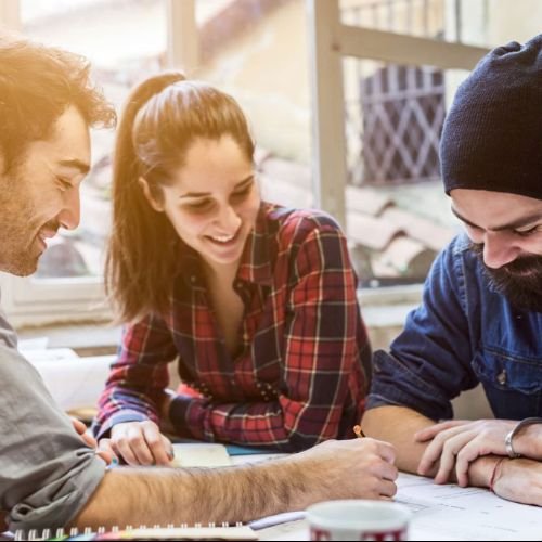 Consultation & Site Visit