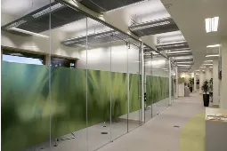 Frameless Glass Dividers