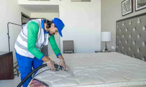 Mattress Cleaning 17