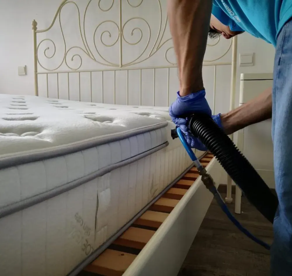 Mattress Cleaning 21