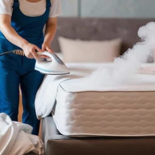 Steam Cleaning Sanitization