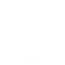 100 Original Products