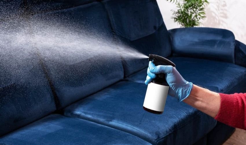 New Furniture Smell Occur