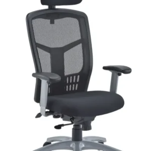Fonz Mesh Office-Chair with Headrest