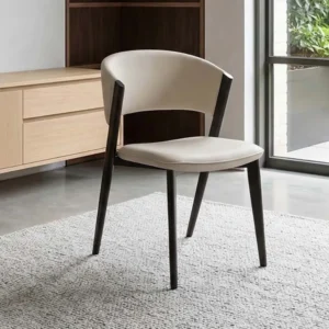 Valeria Contemporary Dining Seat